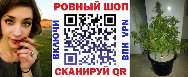 Названия наркотиков Люберцы ГАШ  Альфа ПВП  Кокаин  hydra вход  Каннабис  Меф 